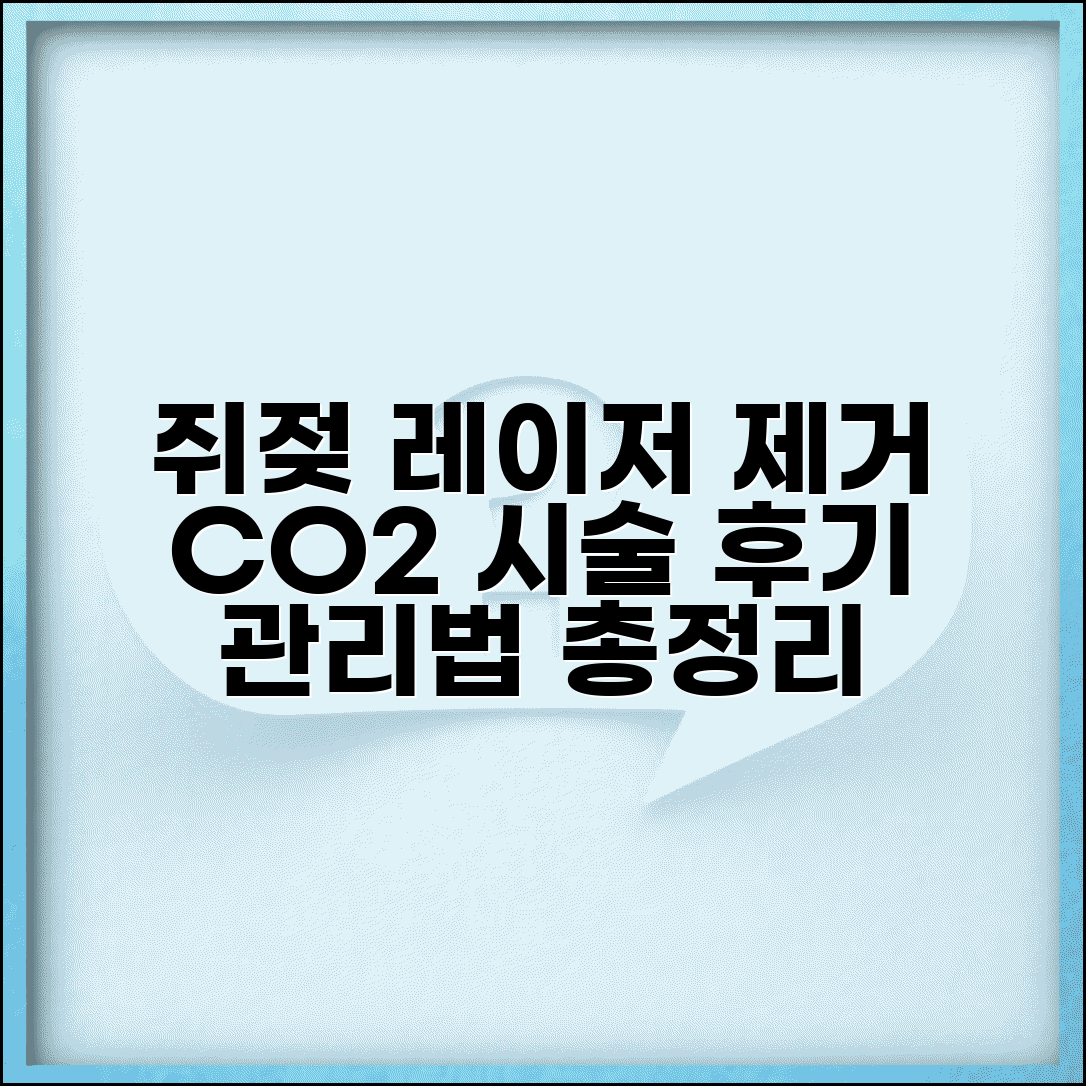 쥐젖 레이저 제거 후기 | CO2 레이저 제거 | 레이저 제거 과정 | 제거 후 관리법 총정리