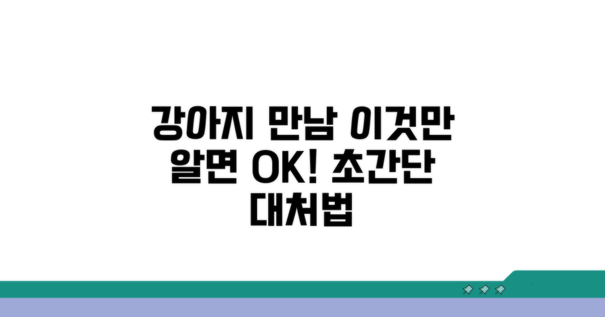 강아지 만남, 이렇게 대처해요