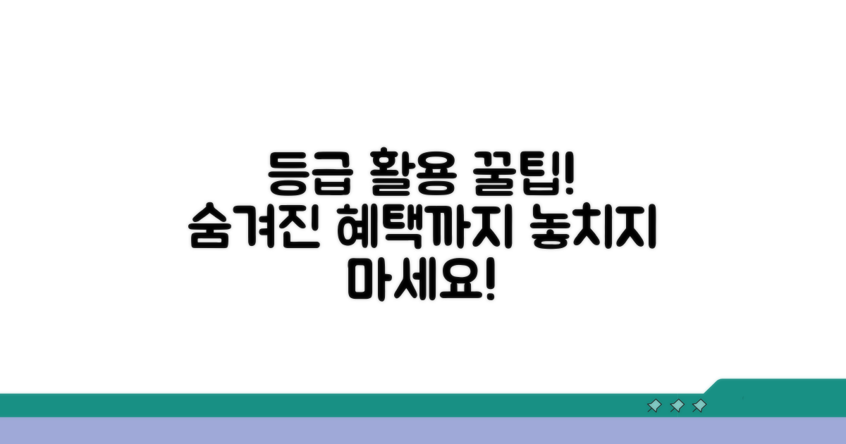 등급 활용 꿀팁과 추가 정보