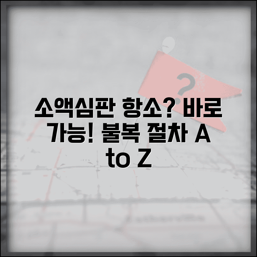 소액심판 항소 가능 여부 및 방법 | 불복절차 안내 | 항소장 작성요령 및 기간