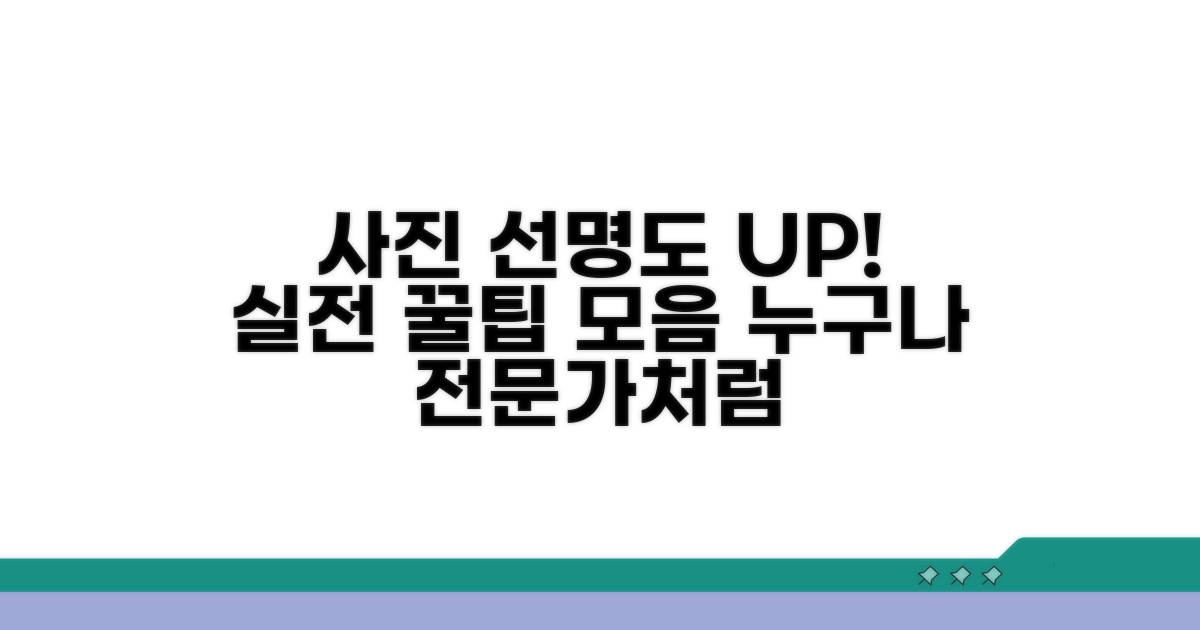 사진 선명하게 찍는 실전 팁