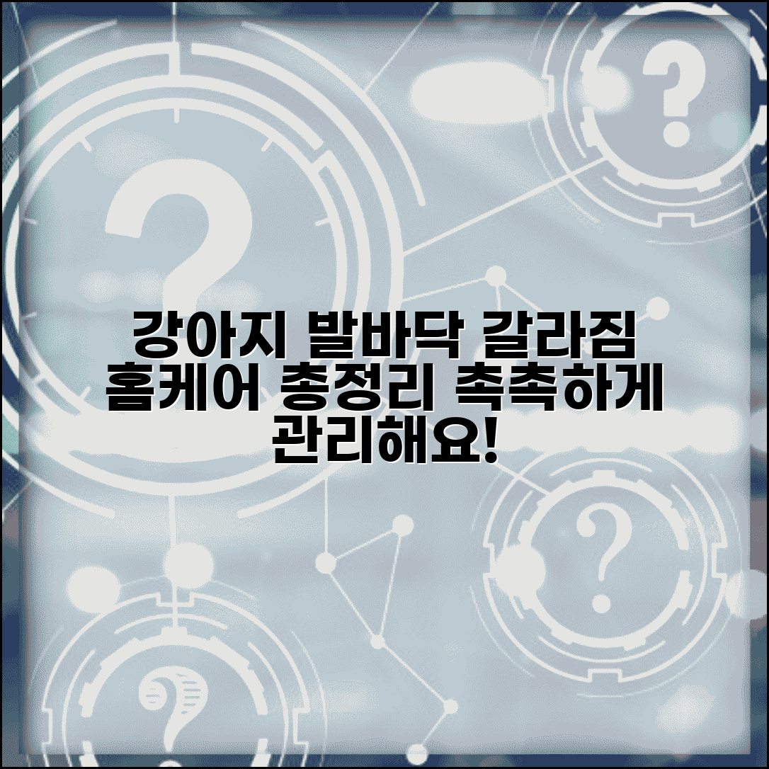강아지 발바닥 갈라짐 보습 관리법 | 갈라진 곳, 증상, 홈케어 방법 총정리