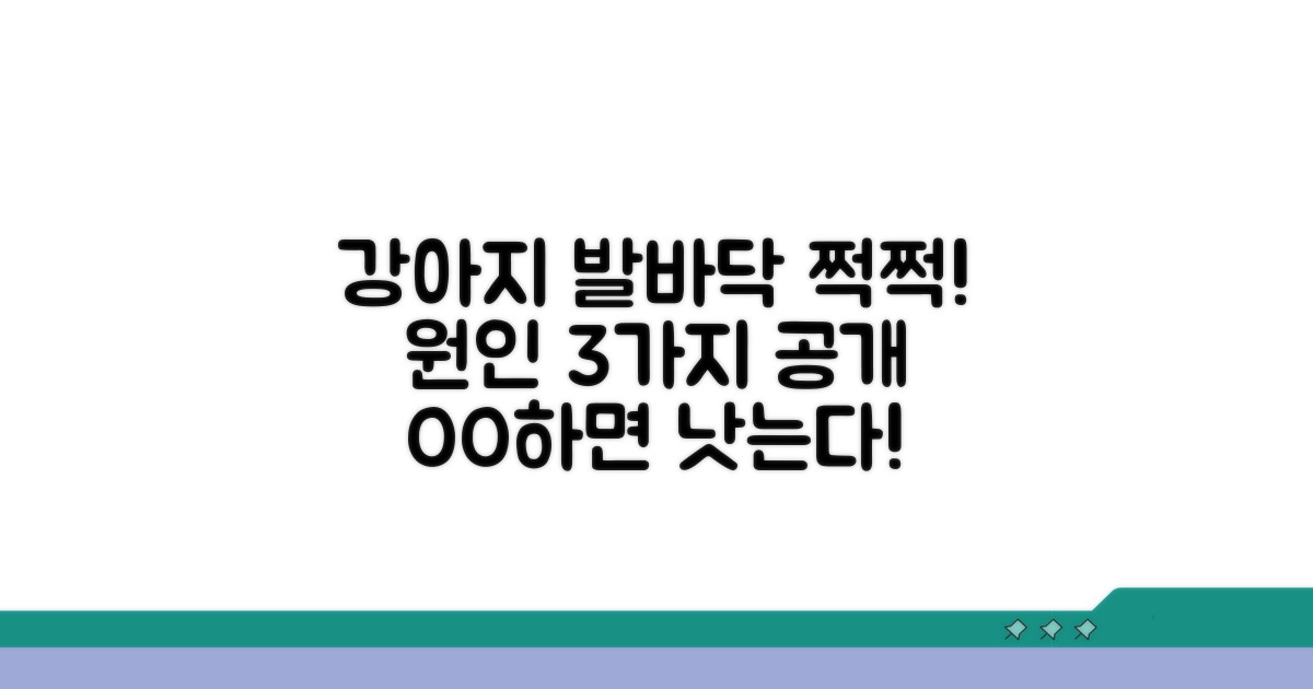 강아지 발바닥 왜 갈라질까요?