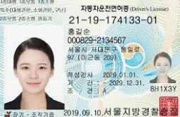 운전면허의 정의 설명